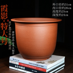 霞影特大号圆口形金钟精品紫砂兰花盆蕙兰蝴蝶兰松桩盆景盆栽