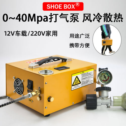 鞋盒超高压充气泵30mpa车载充气