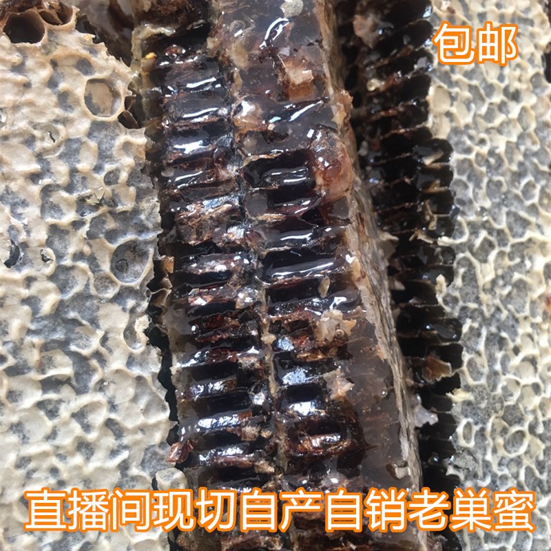 三叔养蜂场农家自产纯正天然2年3年嚼着吃老蜂巢土蜂蜜直播割蜜