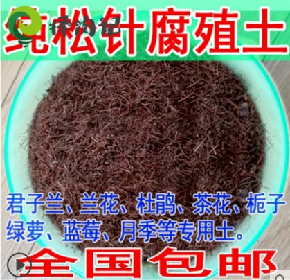 松针腐叶兰花专用绿萝营养土多肉