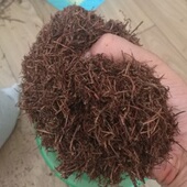 东北纯松针腐殖腐熟天然腐叶橡树叶君子兰虎皮兰花卉植物专用通用