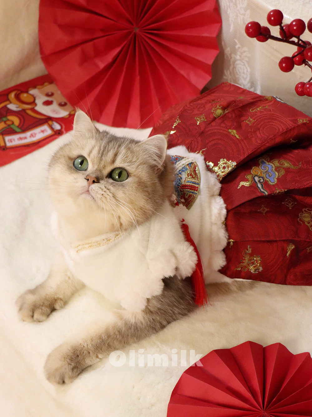 【olimilk】祥云献瑞|中国风新年喜庆马面裙宠物猫狗古装明治汉服
