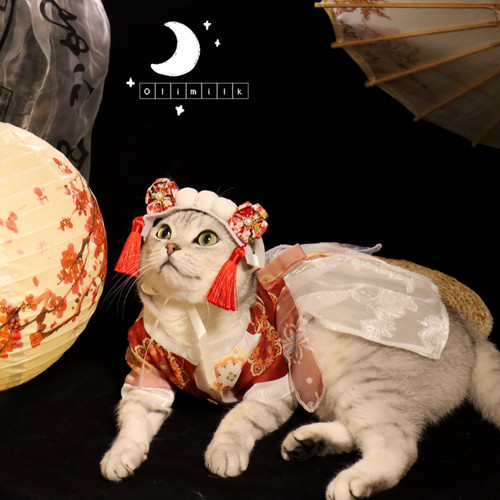 olimilk春夏轻薄拍照写真宠物猫