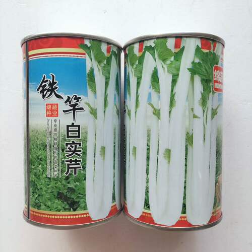 绵蔬铁杆白实芹芹菜种籽脆嫩高产抗病耐热四季播实心嫩白芹菜种子