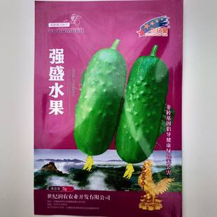 短棒型水果黄瓜种子圆柱型水果黄瓜籽抗病丰产南北方春秋两季播种
