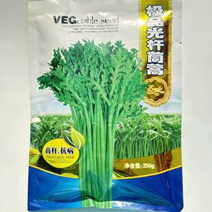 富润光杆茼蒿种子茼蒿菜种子小叶茼蒿籽皇帝菜春秋季蔬菜种籽大田