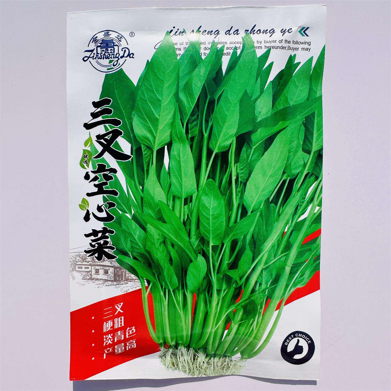 三叉菜种子空心菜种子通心菜种子四季阳台蔬菜种子盆栽菜园蔬菜种