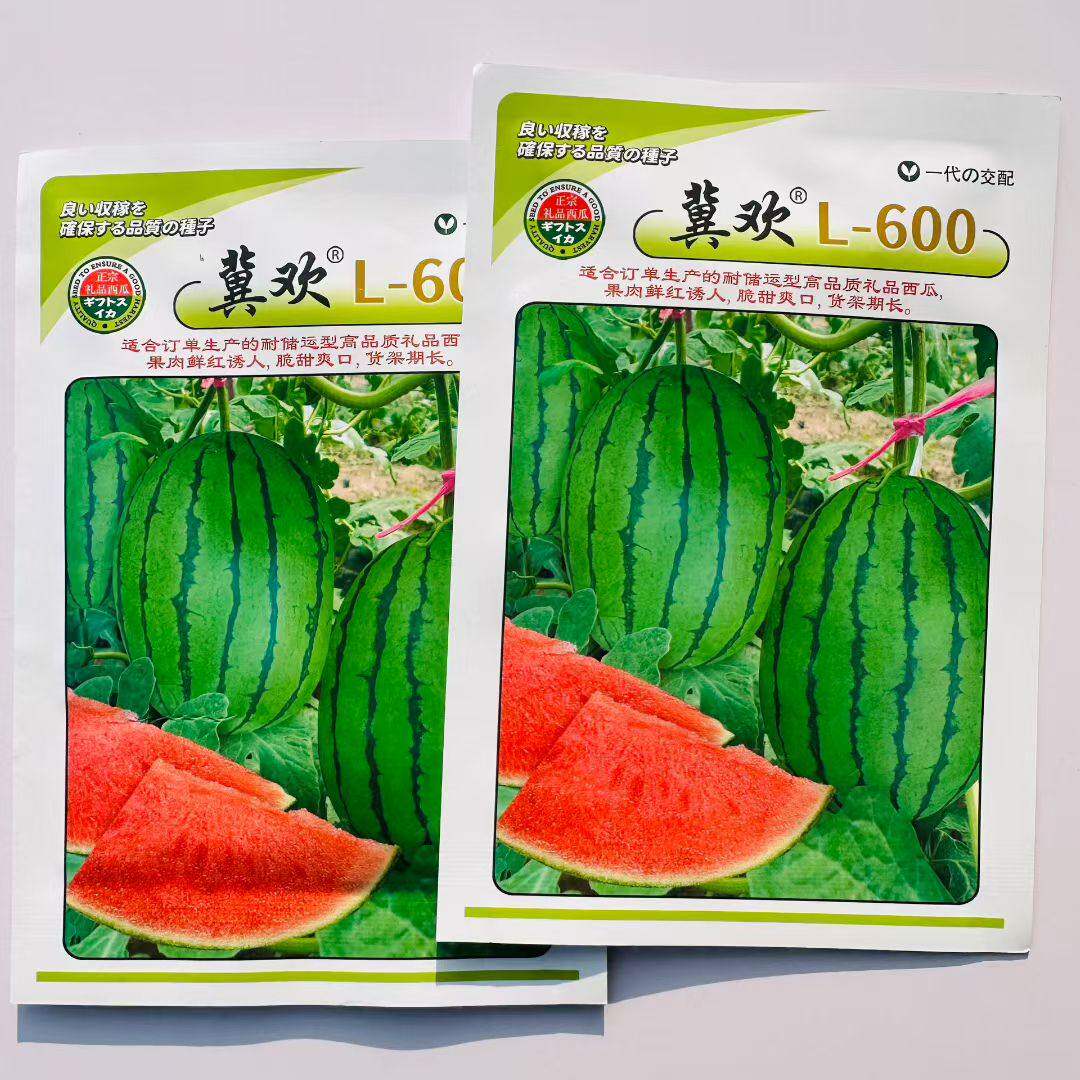 L600高档礼品西瓜种子超甜早熟小型西瓜种籽耐裂小果西瓜种孑红瓤