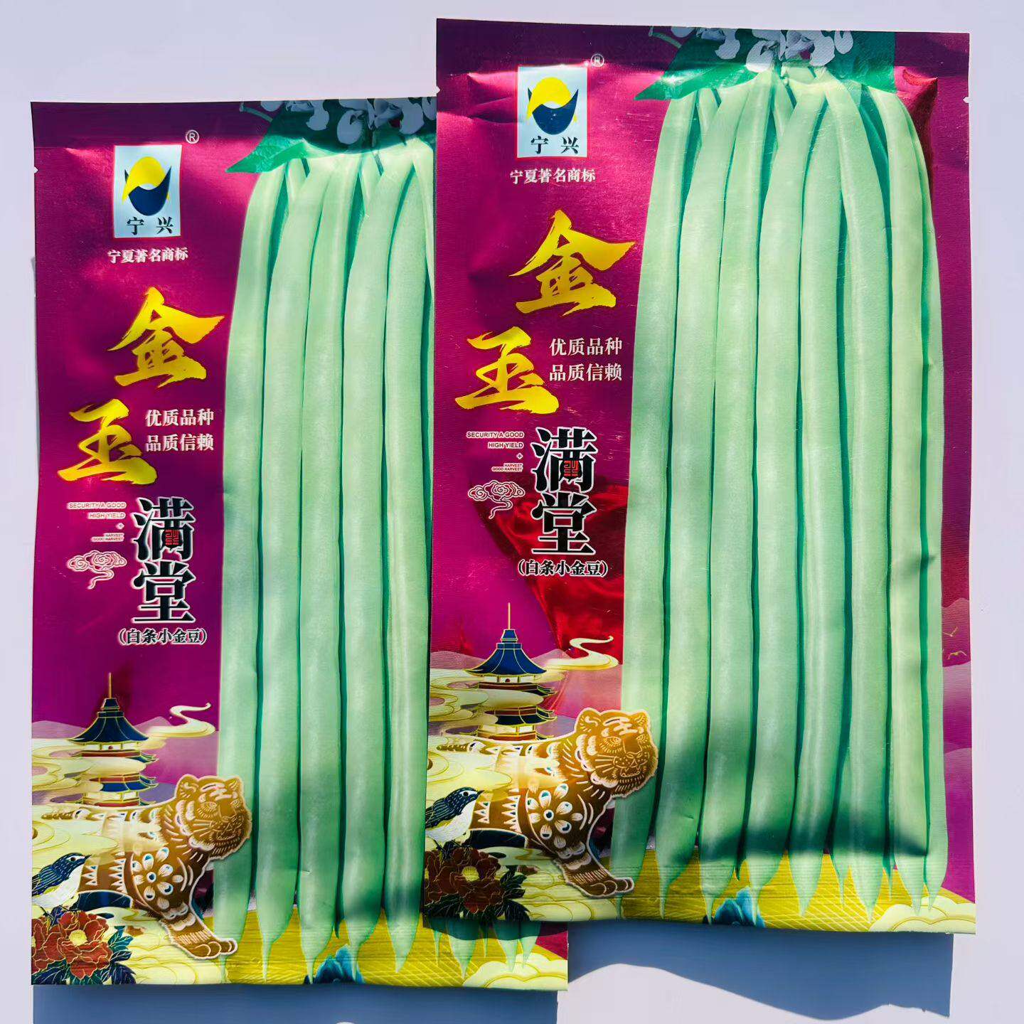 金玉满堂白条小金豆种子油青浅白条小金豆种子无筋四季豆种子