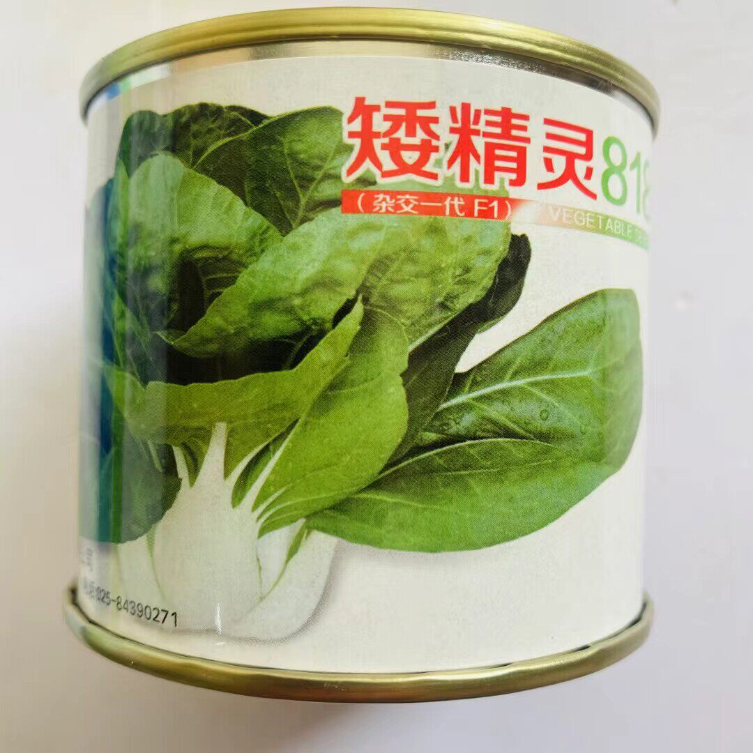 矮精灵818白富美奶白菜菜心种子油绿甜菜心种籽椭圆叶绿菜苔种子