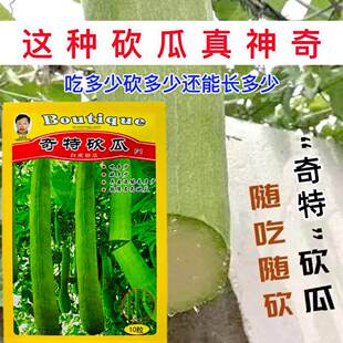 奇特砍瓜种子高产抗病砍吊瓜种子四季高产农家爬藤耐热蔬菜种子