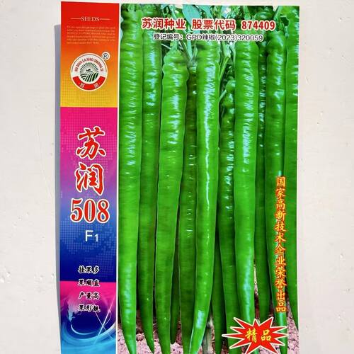 苏润508早中熟长线椒种子坐果集中抗性好产量高辣味适中春秋种植
