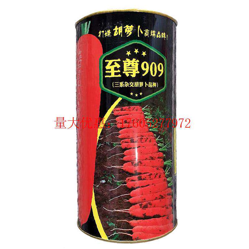 拖车头至尊909 胡萝卜种子早熟高产萝卜种籽红萝卜春秋大田用种孑