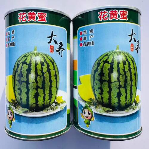 西瓜种子大齐花黄蜜早熟黄心西瓜种子800粒 脆甜爽口黄壤西瓜种籽