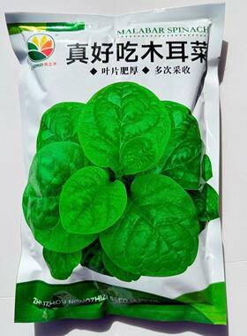 农之子真好吃木耳菜该品种片肥厚较耐抽叶柄绿色叶面微皱茎绿色