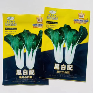 黑叶小白菜种子耐湿耐热抗病高产南方北方农家菜园大田春夏秋播种