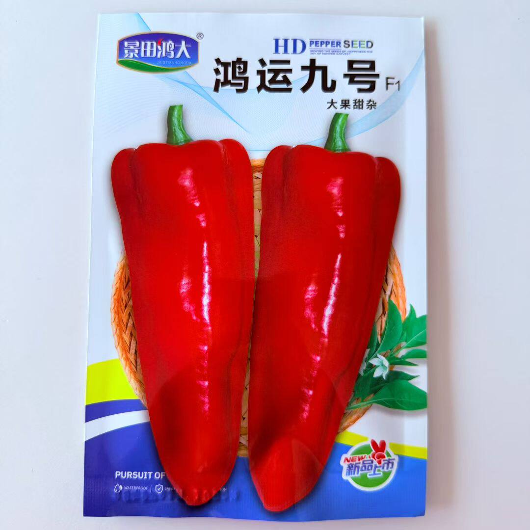 鸿运九号大果甜椒种子中早熟高产抗病性强口感佳质脆薄皮辣椒种孑图片