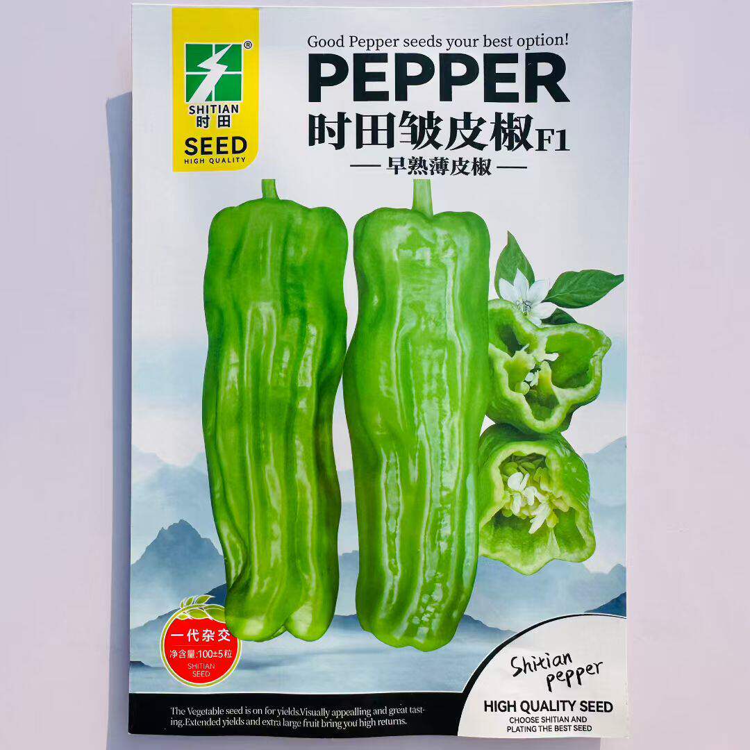 时田皱皮椒辣椒种子早熟微辣皮薄质脆薄皮椒种籽春秋播种蔬菜种子