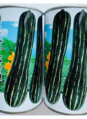 花皮吊瓜种子特早熟果肚较小味甜面抗病性好结瓜多花皮早南瓜种子