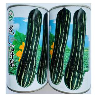 花皮吊瓜种子特早熟果肚较小味甜面抗病性好结瓜多花皮早南瓜种子