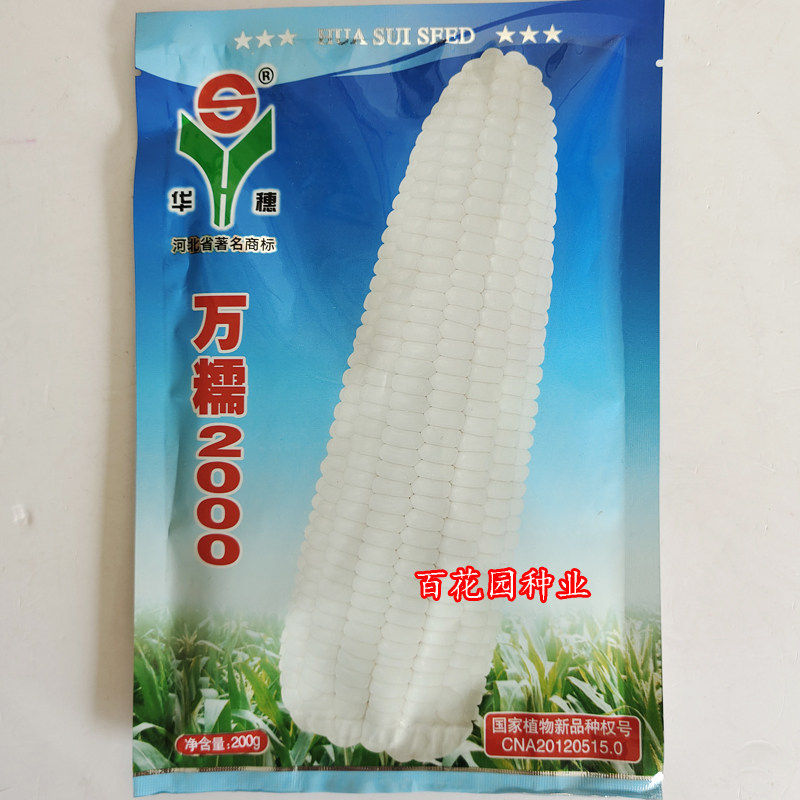 华穗万糯2000/188白糯玉米种子 早熟高产香甜大棒型玉米种籽200g - 实物图