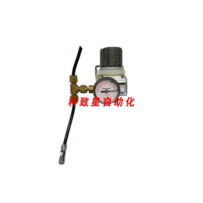 工业配件VACUUM REGULATOR 100KPA VR200