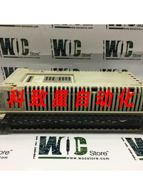 工业配件110 CPU 311 01 AEG MICRO CPU AC PS SL编号 3100224918