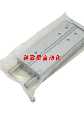 工业配件DFM200-PA-GF (170863) GUIDE PMAX 10 BAR DFM200-PA-GF