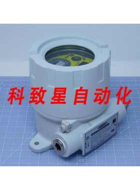 工业配件DX99N2X1W2N0M2X0D1-1741 17417 SURE CROSS FLEX 电源节