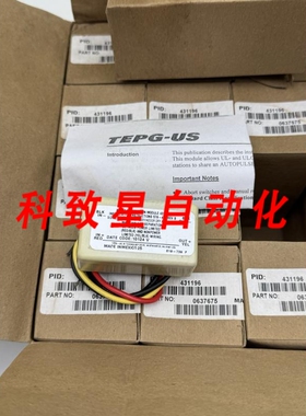 工业配件100X TEPG-US 中止监控模块 431196 0637675