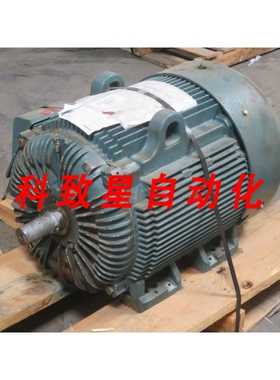 工业配件ECP84402T-4 电机 100 HP T263299
