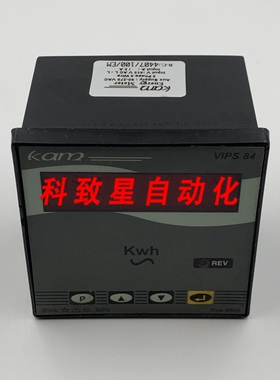 工业配件KAM VIPS 84 能量计
