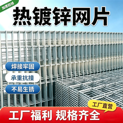 量大从优真源头厂家镀锌网格网片