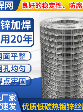 不生锈的铁丝网围栏镀锌养鸡网电焊网片网格批发钢丝网菜地护栏网