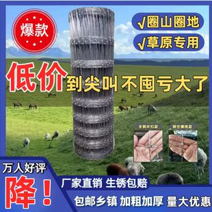 热镀锌铁丝网防锈牛栏网圈地钢丝网拦牛羊果园防护网养殖网围栏网