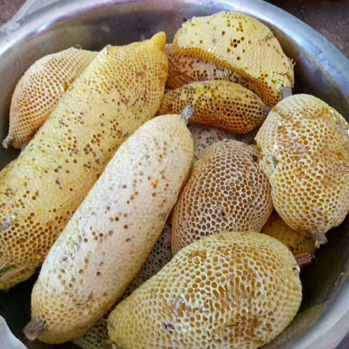 云南临沧野生小挂蜜巢蜜嚼着吃纯正天然土蜂蜜百花蜜小草蜂蜜瓶装