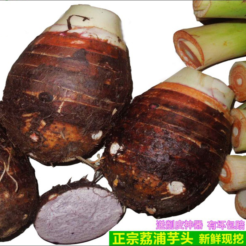 广西荔浦新鲜大芋头现挖粉香芋正宗特产槟榔芋紫藤芋整箱9斤包邮