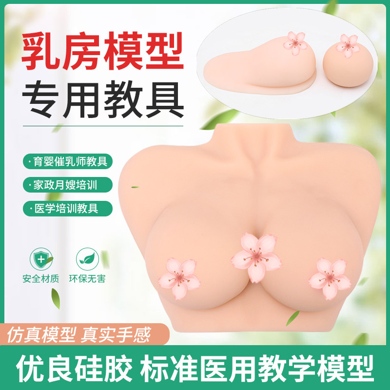 包邮软硅胶技校教学用催乳师培训