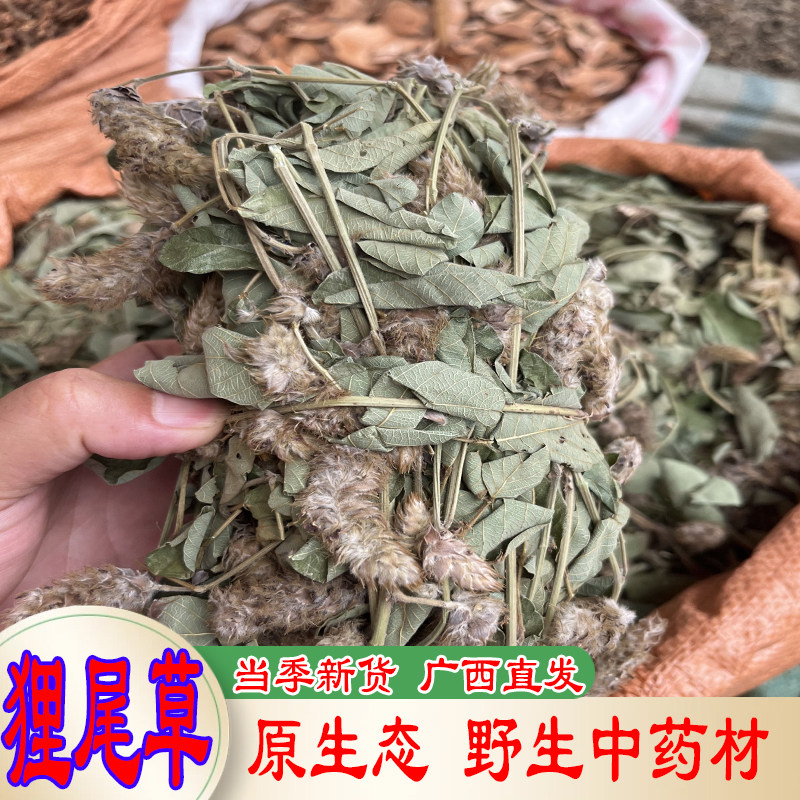 正宗野生狸尾草羊咩香益肝草新货