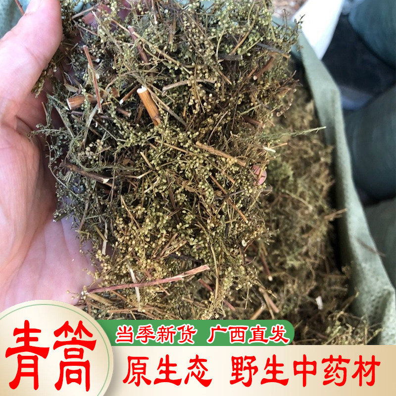 青蒿500g克包邮 桐臭蒿子天然 草蒿 黑蒿 野兰蒿 野生中药材新货