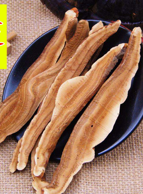 黑灵芝 黑色灵芝 黑芝 半野生 切片 赤灵芝 整枝中药材500g克包邮