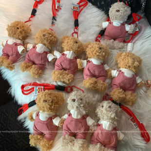 可爱泰迪小棕熊毛绒包包挂件卡通玩偶小熊公仔情侣钥匙扣挂件配饰