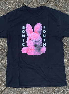Sonic Youth音速青年乐队粉色兔子摇滚复古嘻哈FOG短袖男女T恤棉