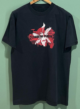 Linkin Park林肯公园乐队美式高街摇滚chic嘻哈短袖男女重磅棉T恤