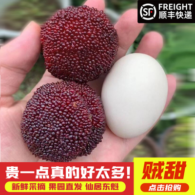 【全网热销】仙居东魁杨梅超大甜