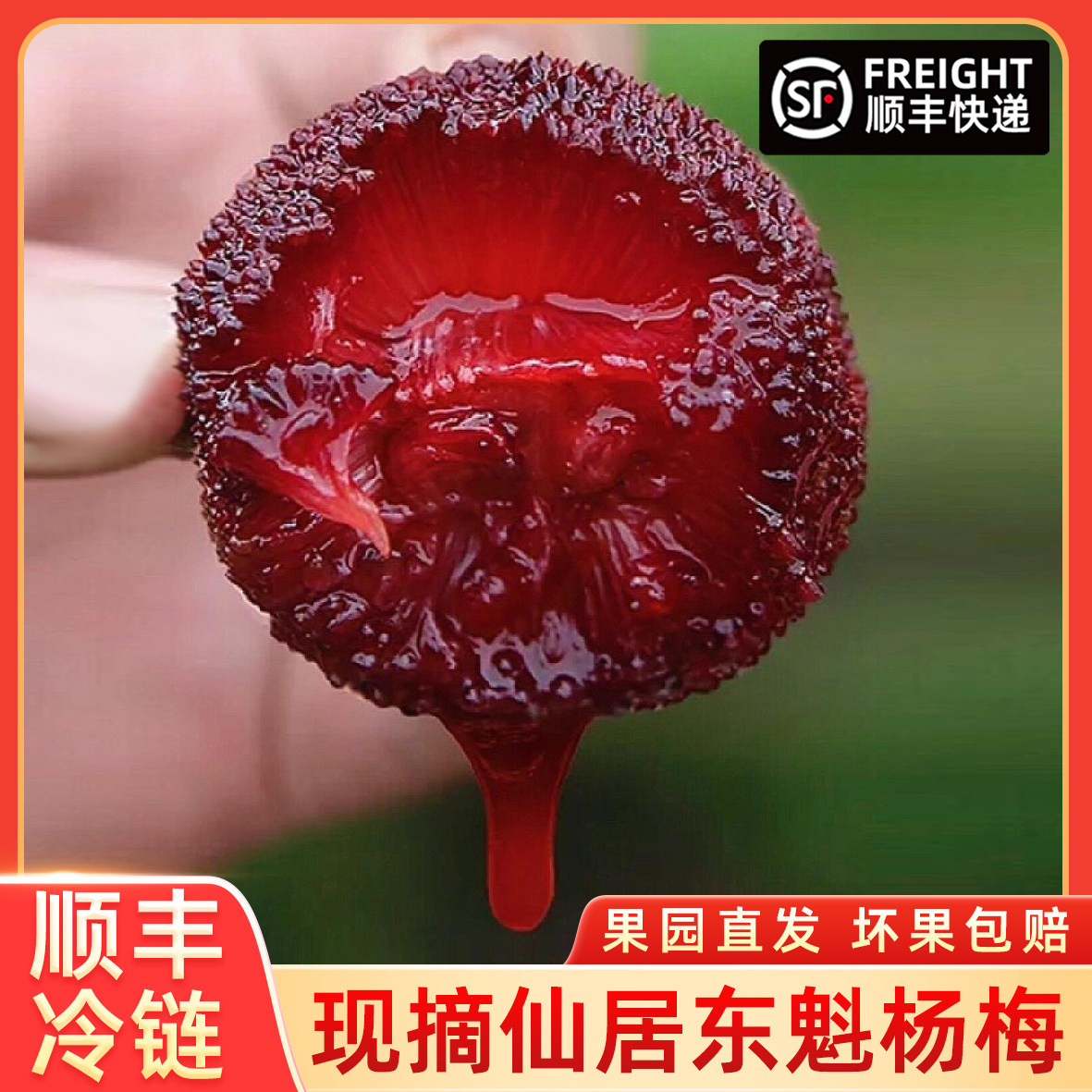 正宗浙江仙居东魁杨梅当季新鲜孕妇水果甜现摘现发礼盒装顺丰空运