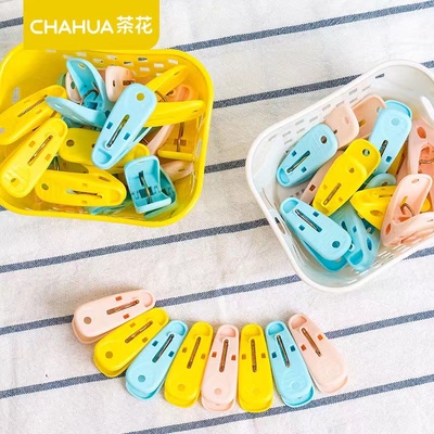 夹子防风夹茶花塑料夹衣夹