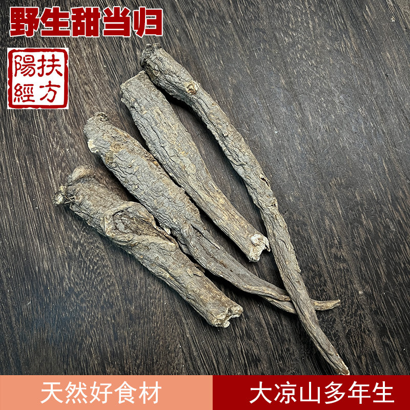 四川阿坝高原野生甜当归中药材