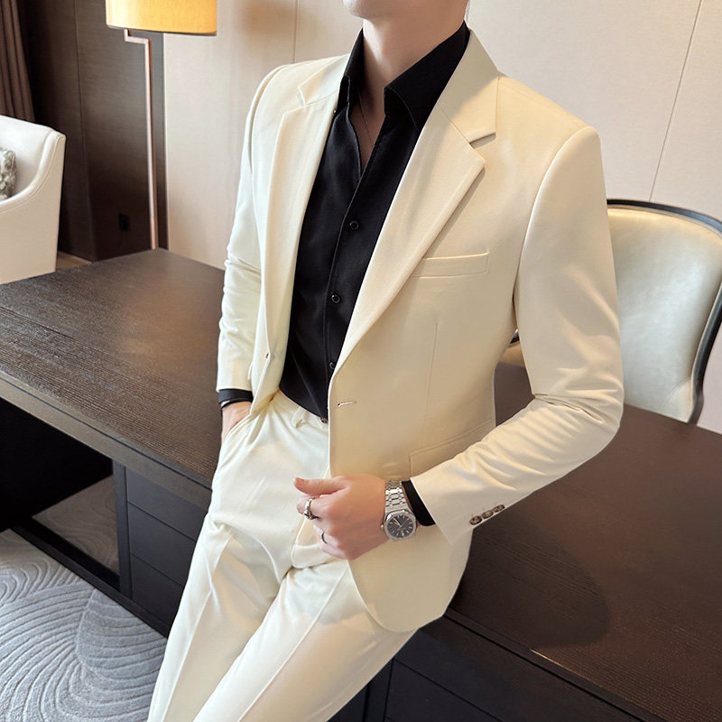 秋冬西服套装正装休闲新郎婚礼西装两件套A207-LJT805-P210,男装西服套装,电商A207