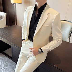 秋冬西服套装正装休闲新郎婚礼西装两件套A207-LJT805-P210图片